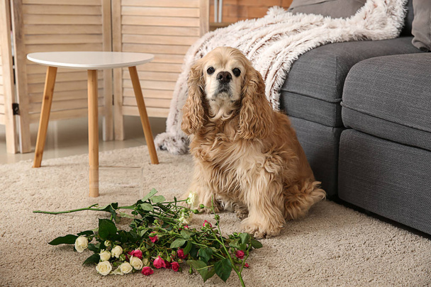 frecher Hund und abgeworfene Vase mit Blumen auf Teppich - Foto, Bild