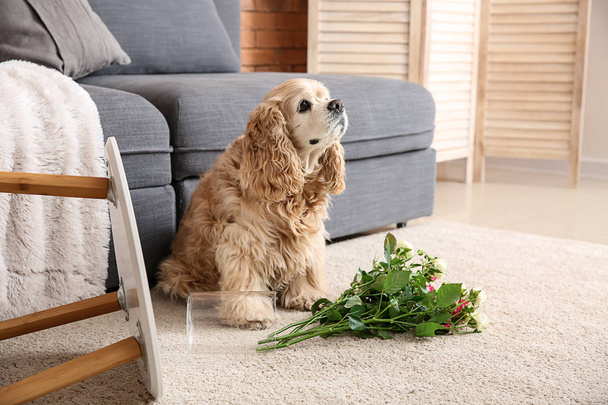 Naughty dog and dropped vase with flowers on carpet - Φωτογραφία, εικόνα