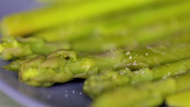 Asparagus served on plate - Кадры, видео