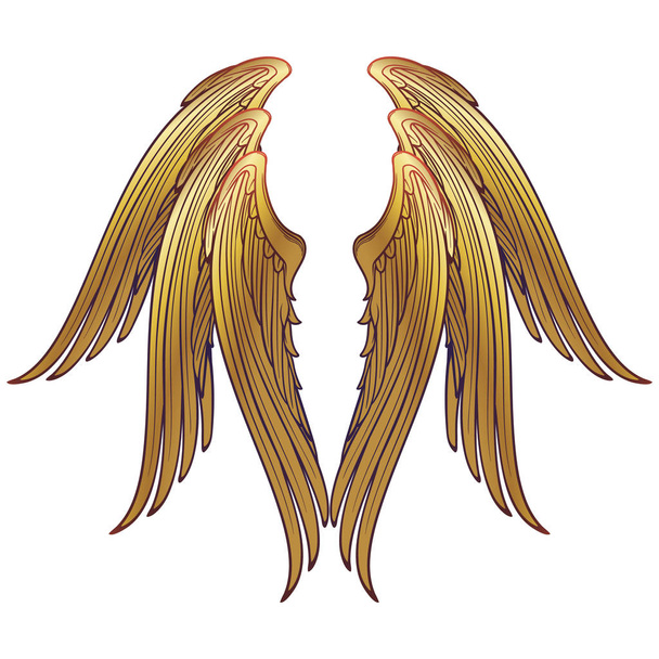 6 szárnyas szeráf szárnya sablon - Vektor, kép
