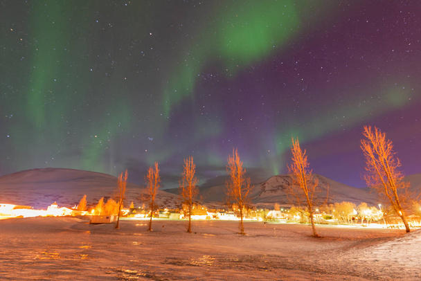Severní světlo z Islandu - Fotografie, Obrázek