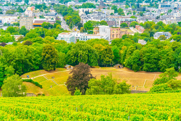 Vineyards, Roman amphitheater and Kaiserthermen in Trier, German - Zdjęcie, obraz