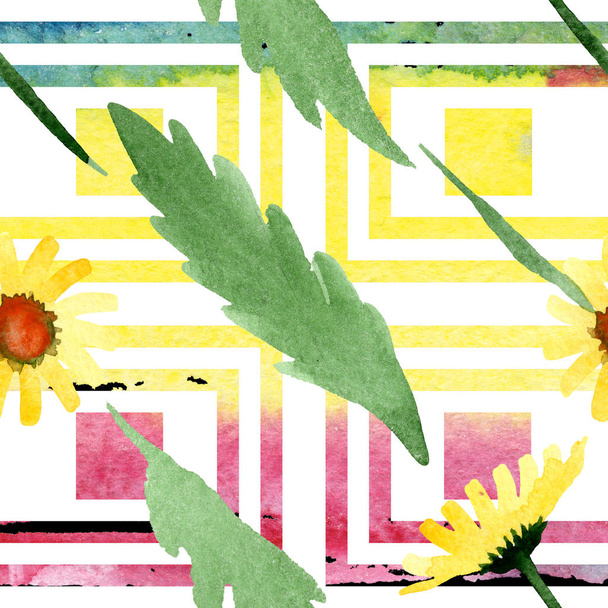 Gele bloemen botanische madeliefjebloemen. Aquarel achtergrond afbeelding instellen. Naadloze achtergrondpatroon. - Foto, afbeelding