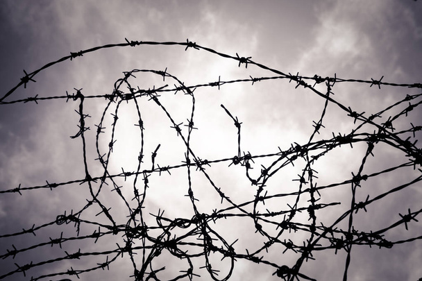 Barbed wire fence - Photo, Image