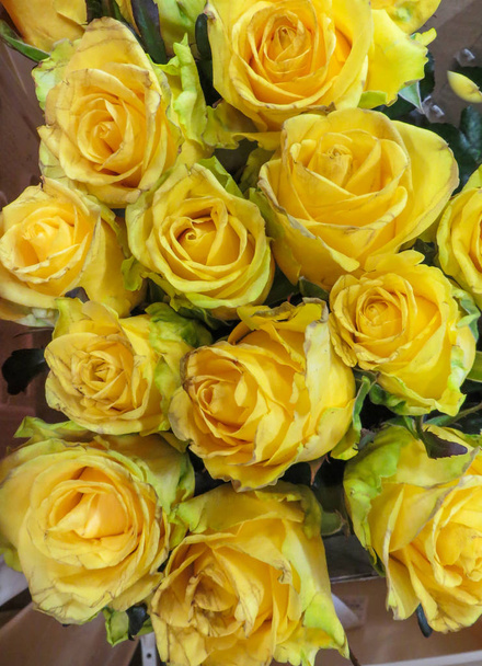 Ένα μπουκέτο από φρέσκα όμορφα κίτρινα τριαντάφυλλα σε βάζο. - Φωτογραφία, εικόνα