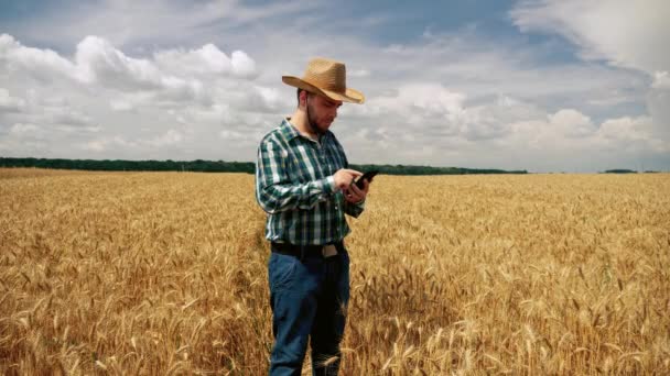 Contadino strisciare sullo smartphone nella piantagione di grano
 - Filmati, video