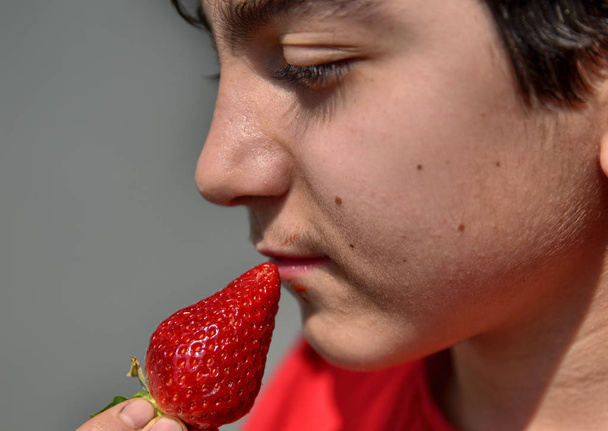 Caucasian child who is eating a strawberry - Φωτογραφία, εικόνα