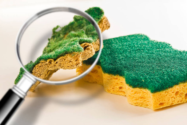 Pay attention to the old sponges for household cleaning of kitch - Photo, Image