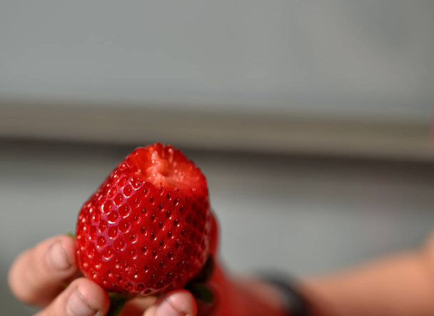 Support main une fraise
 - Photo, image