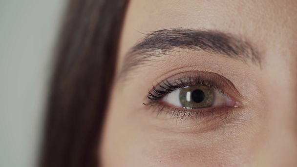 cropped view of woman looking at camera and raising eyebrow isolated on grey - Imágenes, Vídeo