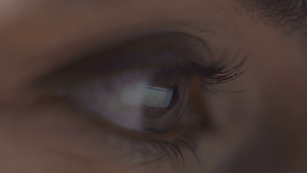 vista de cerca de las páginas de desplazamiento de la mujer en el ordenador con la reflexión del monitor en el ojo aislado en gris
 - Imágenes, Vídeo
