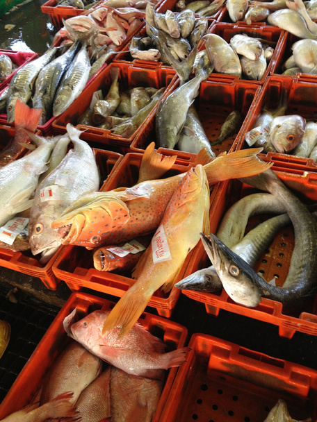 риба в fishmarket
 - Фото, зображення