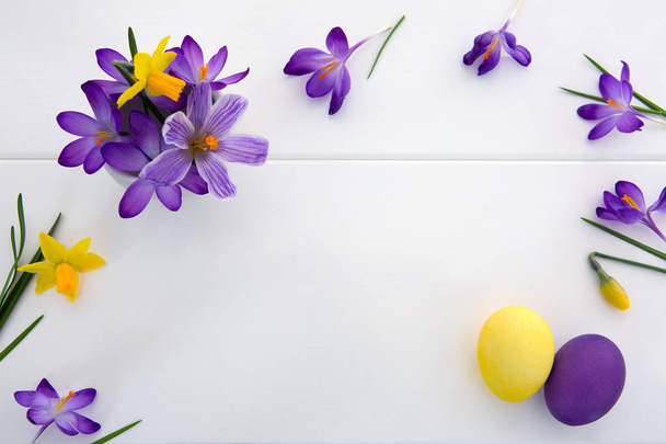 Purple crocuses and Easter Eggs isolated on white wood Background. - Photo, Image