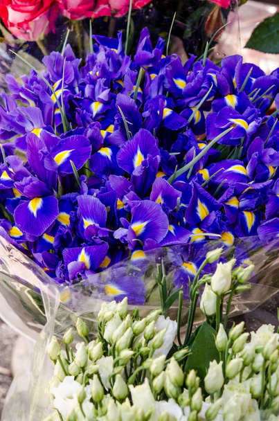 Bouquet of irises flowers close up - Foto, Imagem