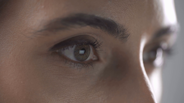 Close-up weergave van de vrouw met computer monitor reflectie in de ogen knipperen geïsoleerd op grijs - Video