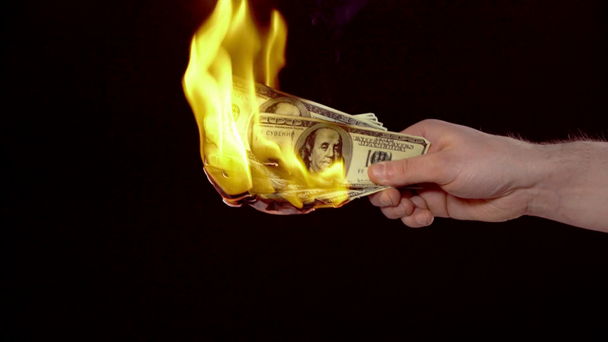 米ドル紙幣を燃やした男のクロップドビュー黒とコピースペース - 映像、動画