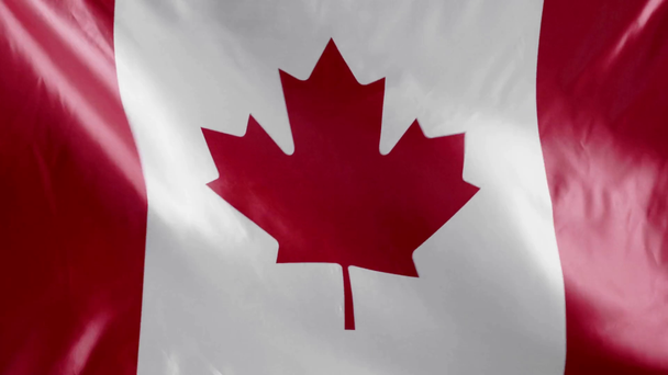 top view of waving national canadian flag with copy space - Footage, Video