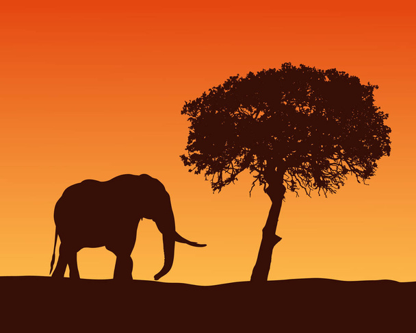 Ρεαλιστική απεικόνιση με σκιαγραφία του ελέφαντα σε σαφάρι στην Αφρική. Acacia δέντρο κάτω από πορτοκαλί ουρανό με αυγή - διάνυσμα - Διάνυσμα, εικόνα
