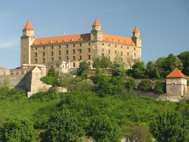 Château de Bratislava
 - Photo, image