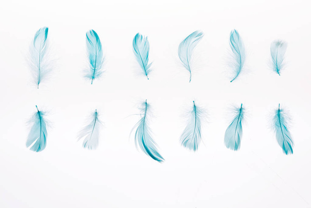 set of blue soft feathers isolated on white - Фото, изображение