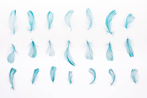 set of blue lightweight feathers isolated on white - Foto, Imagem