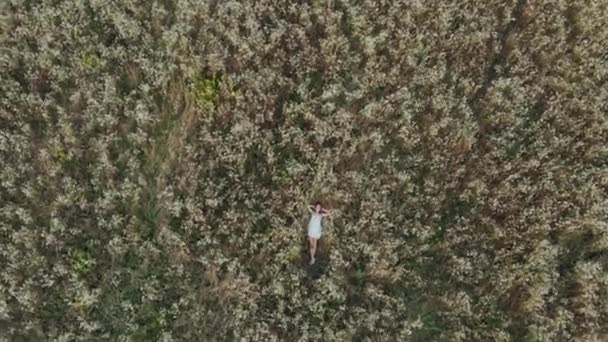 Luftaufnahme eines Mädchens, das in einem Blumenfeld liegt und sich entspannt - Filmmaterial, Video