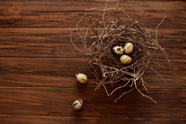 quail eggs in a nest - Foto, immagini