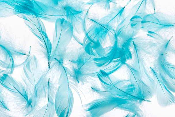 seamless background with blue lightweight and bright feathers isolated on white - Fotó, kép