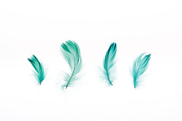 green lightweight four feathers isolated on white - Fotoğraf, Görsel