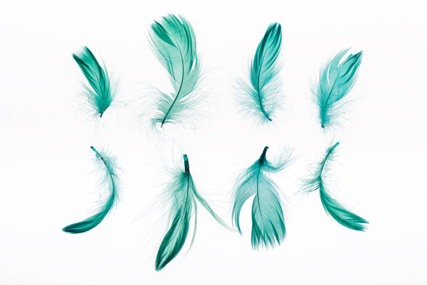 rows of green lightweight feathers isolated on white - Fotoğraf, Görsel