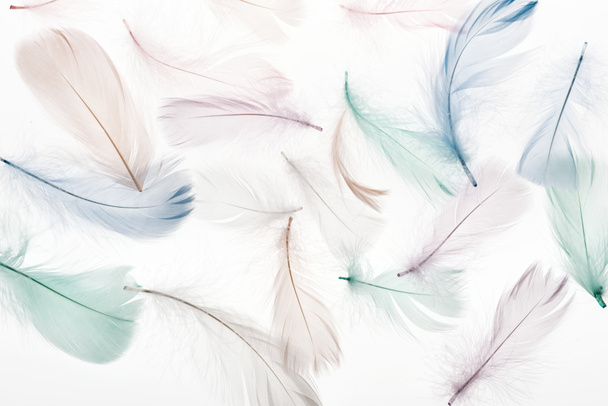 fondo sin costuras con plumas suaves beige claro, verde y azul aisladas en blanco
 - Foto, Imagen