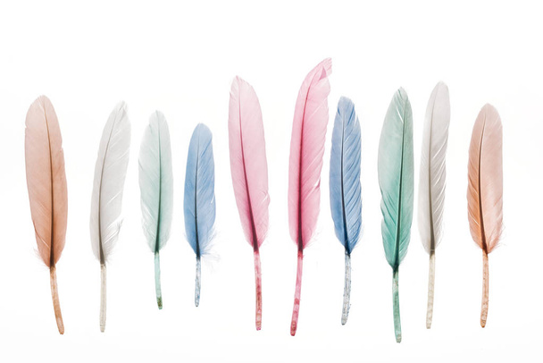 multicolored lightweight feathers in row isolated on white - Fotó, kép