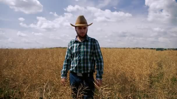 Tired and sad farmer into the canola plantation - Materiał filmowy, wideo