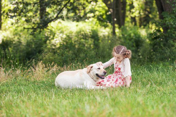 Cute smiling little girl hugging and  ironing labrador in the su - Photo, Image