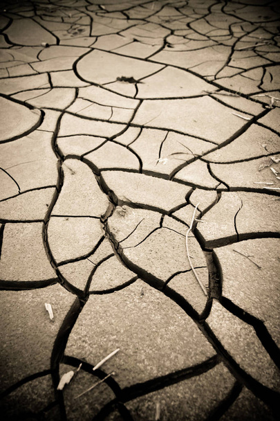 Трещины в почве: последствия засухи - концептуальное изображение
 - Фото, изображение