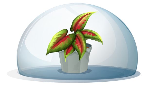 ένας θόλος με ένα φυτό μέσα σε μια κατσαρόλα με γκρι - Διάνυσμα, εικόνα