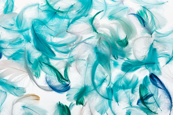 seamless background with multicolored bright green, grey and turquoise feathers isolated on white - Photo, Image