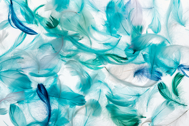 seamless background with multicolored bright green, grey and turquoise lightweight feathers isolated on white - Fotó, kép