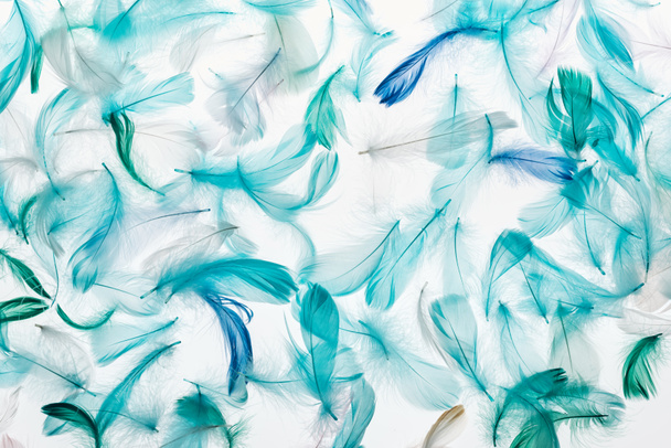 seamless background with multicolored green, grey and turquoise soft feathers isolated on white - Photo, image