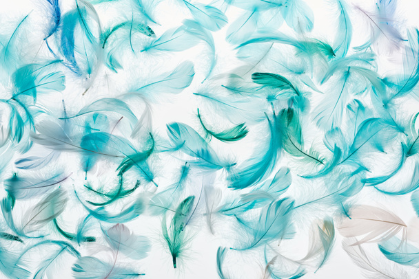φόντο με πράσινα, γκρίζα και τυρκουάζ φτερά απομονωμένα σε λευκό - Φωτογραφία, εικόνα