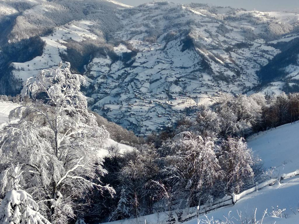 Paisaje de invierno en pueblo de Parva, ĝa Transilvania ramas de arbol cargados con nieve. montanias de los Carpatos cubiertos de nieve   - Foto, Imagen