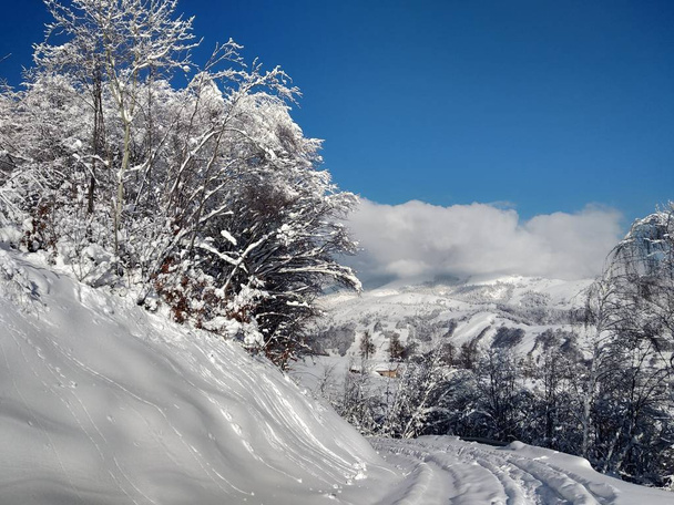 Paisaje de invierno con montaas y nieve en Rumania, pueblo de Parva, Transilvania. - Foto, Imagen