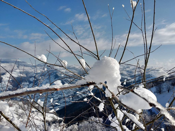 Paisaje de invierno en pueblo de Parva, Rumania a Transilvania ramas de arbol cargados con nieve.  - Foto, Imagen