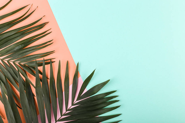 Palm leaves on colored paper. Summer mood, tropical background, blank. - Foto, afbeelding