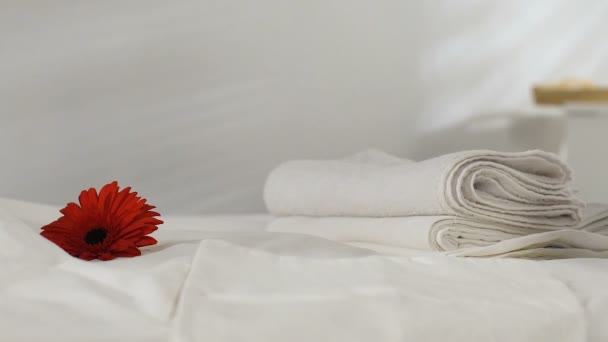 Camarera tomando toallas de la habitación de hotel, flor en ropa de cama fresca, servicio
 - Imágenes, Vídeo