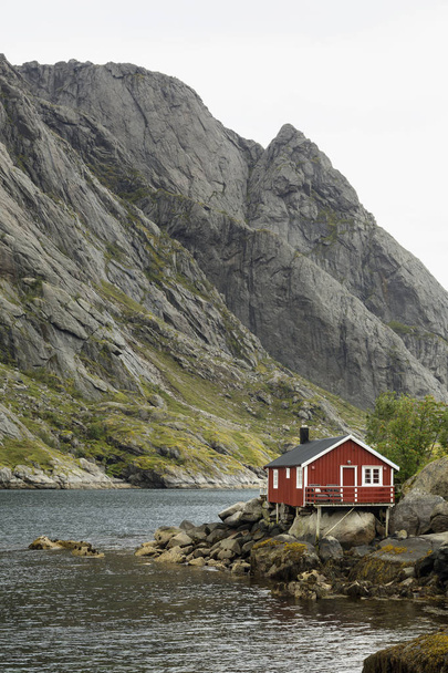 Tradycyjny czerwony drewniany dom, Rorbuer w małej wiosce rybackiej Nusfjord, Norwegia. - Zdjęcie, obraz