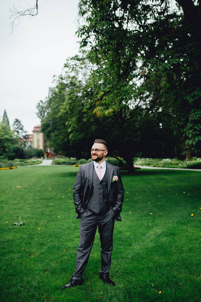 Portrait of a handsome groom in a grey suit with a tie and vest. - 写真・画像