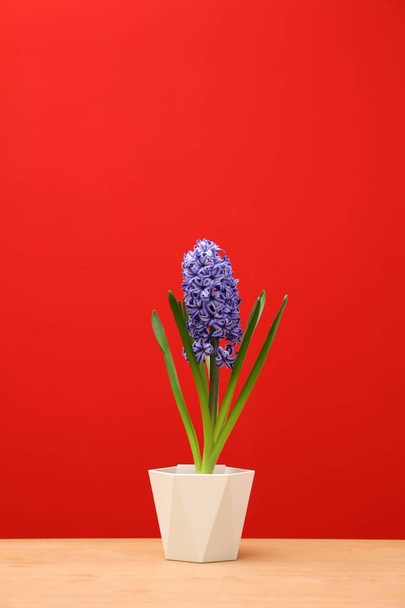 Beautiful hyacinth in pot on table against color background, space for text. Spring flower - Fotoğraf, Görsel