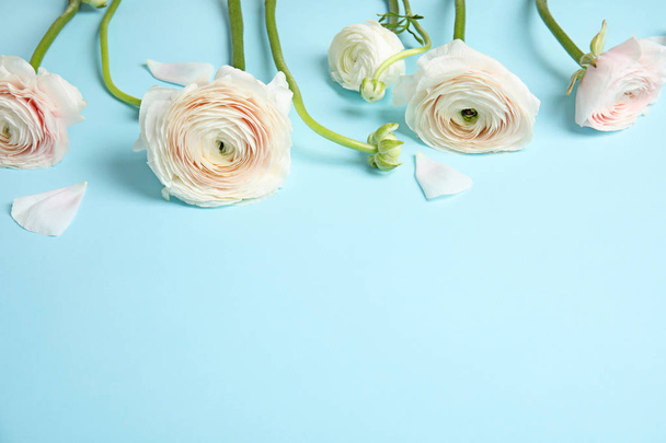 Ranunculus flowers on color background, space for text - Φωτογραφία, εικόνα