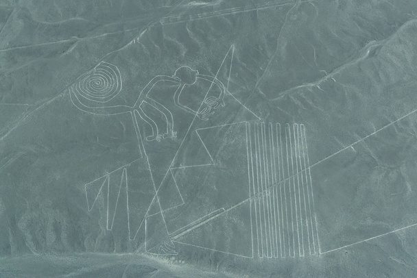 Widok z lotu ptaka z linii Nasca, małpy. Nazca, Peru - Zdjęcie, obraz